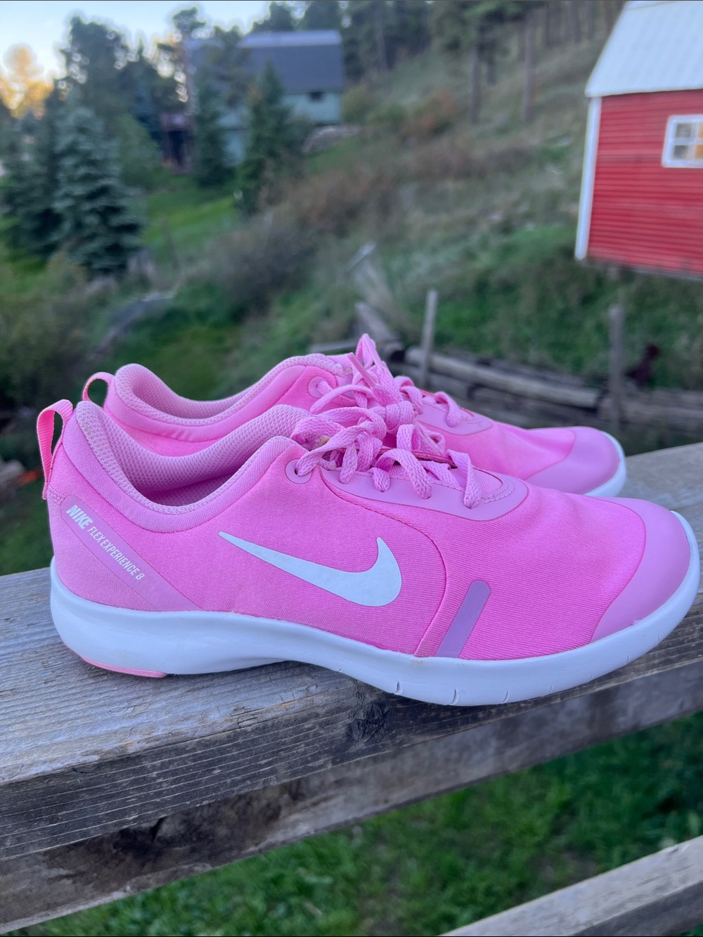 Nike Flex Experience ‘Pink Rise'  5Y